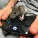ratagamerv avatar