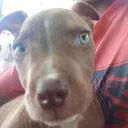 titojack_78 avatar
