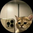 papupapu0128_38568 avatar
