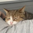 kateface