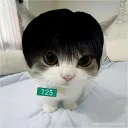 martin_hiboys_fan avatar