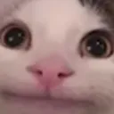hipowho