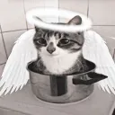 Аватар fokus_or._43439