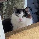 whiskeytango0768
