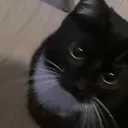 Аватар crystalix0123