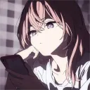 carsgowroom avatar