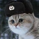 rakiuss43