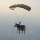 avatar Δενζικις