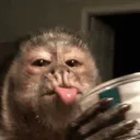 la_panpan