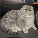 Аватар itsis1414