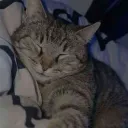 virixoo5