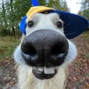 peanutpeanutpeanut_ avatar