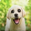 ladypibberty