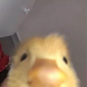 skg_st4rlight avatar