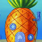 mr. pineapple