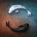 binarymystic