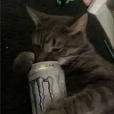 xewzyy_.