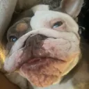 drspadez