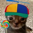 notsplashyt