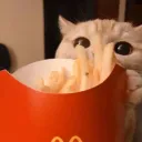 stupid_jagwar_77145 avatar