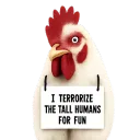 sillychicken909