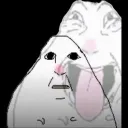 pat_pt_