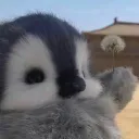 totallynotpengu.