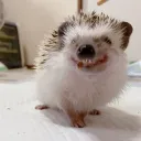 o0000k