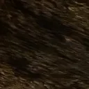 legiondux