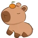 9264920374 avatar