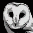 Souwef profile picture