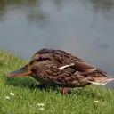 Аватар stas_2004_