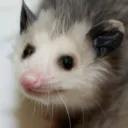 _sep