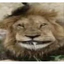 Аватар miracleparadise