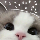 sappypy