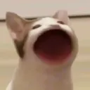 pancake_gamerytw