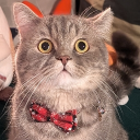 avatar Mother Of Thots