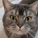 avatar Mother Of Thots