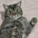 avatar Mother Of Thots