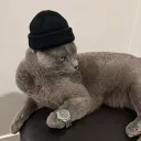 only_going_up17