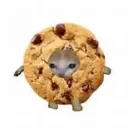 galleta325 avatar