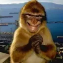 alejandro_3dhak45 avatar