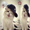 nongkluay_1