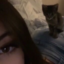 avatar meow catalaya