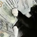 fabi_61928