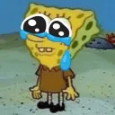 littlespongebob