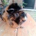 marquitoprime_95761 avatar