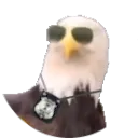 that_guy_patty