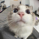 kenzip0235 member profile picture