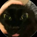 rocawlgay12010 avatar